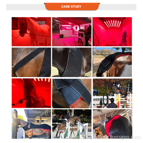 Red Infrared Light Therapy Horse Leg Wrap LED for Dogs and Horses